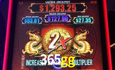 VIP Casino 365gg